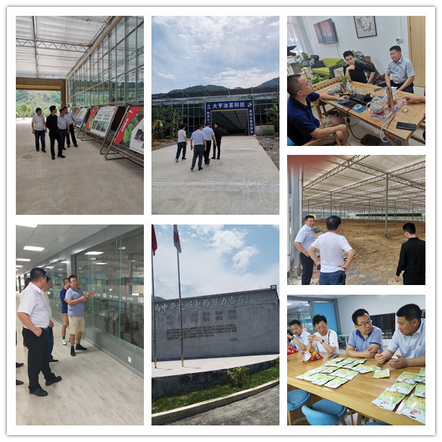 J9集团直营·(中国)官方网站