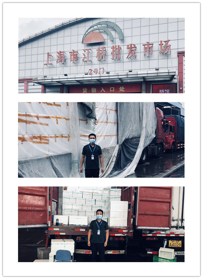 J9集团直营·(中国)官方网站