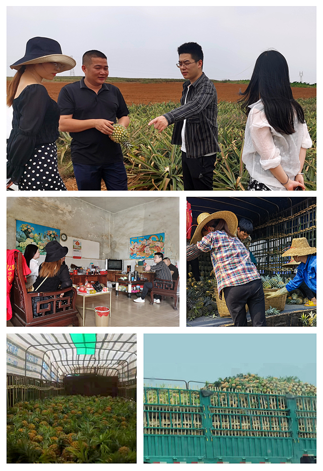 J9集团直营·(中国)官方网站