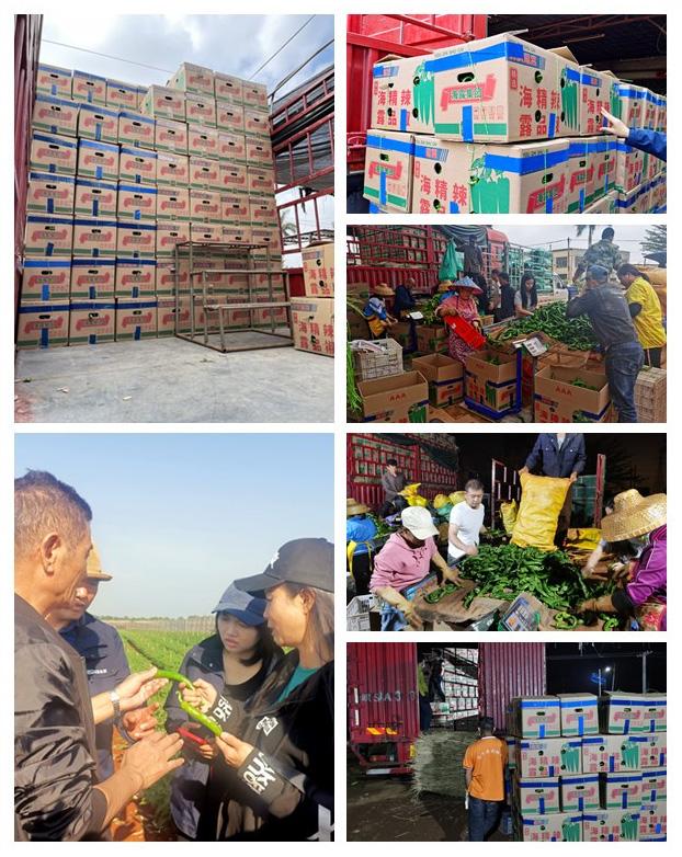 J9集团直营·(中国)官方网站