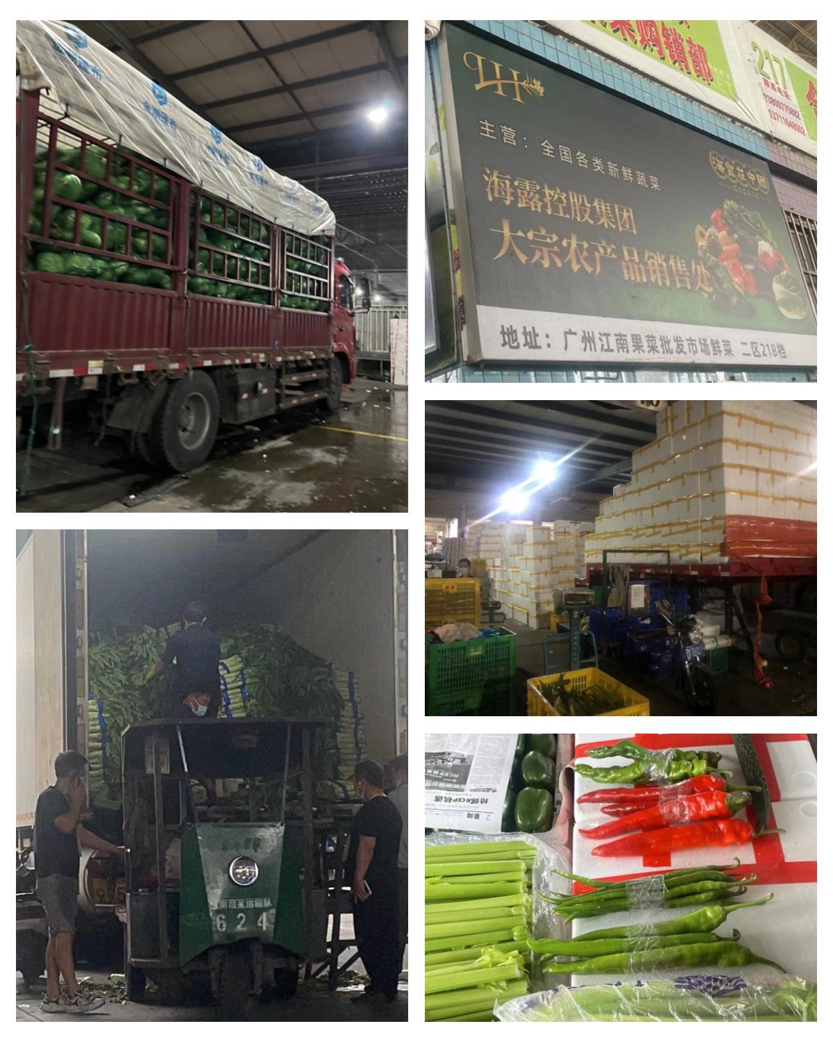 J9集团直营·(中国)官方网站