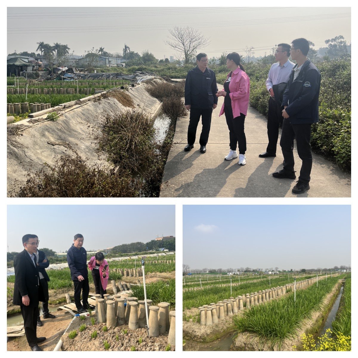 J9集团直营·(中国)官方网站