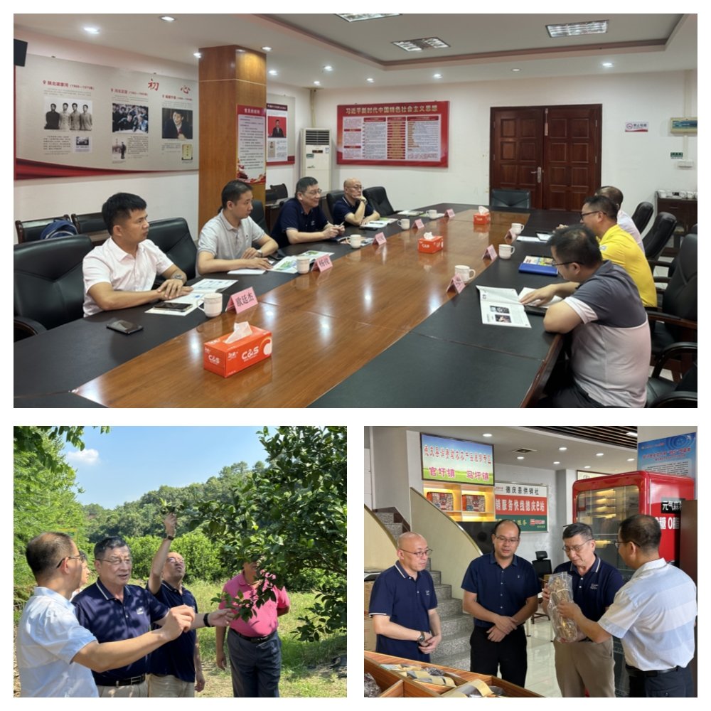 J9集团直营·(中国)官方网站