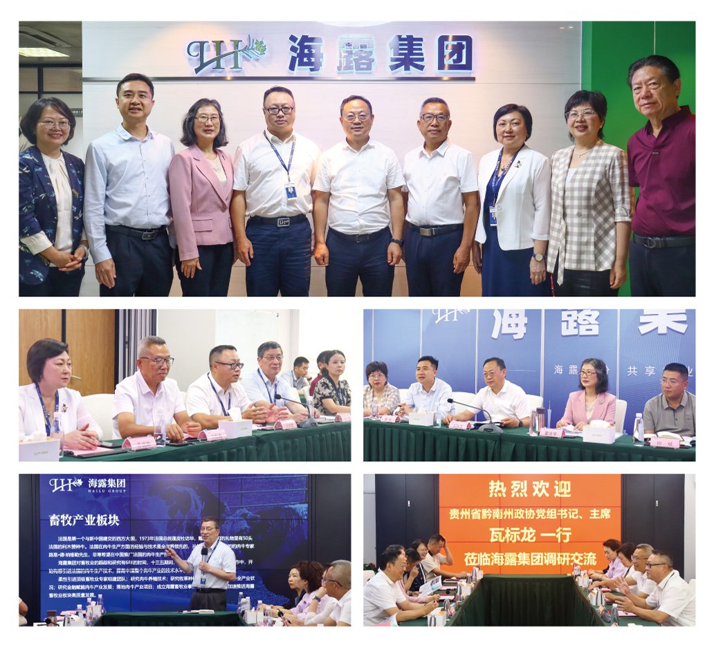 J9集团直营·(中国)官方网站