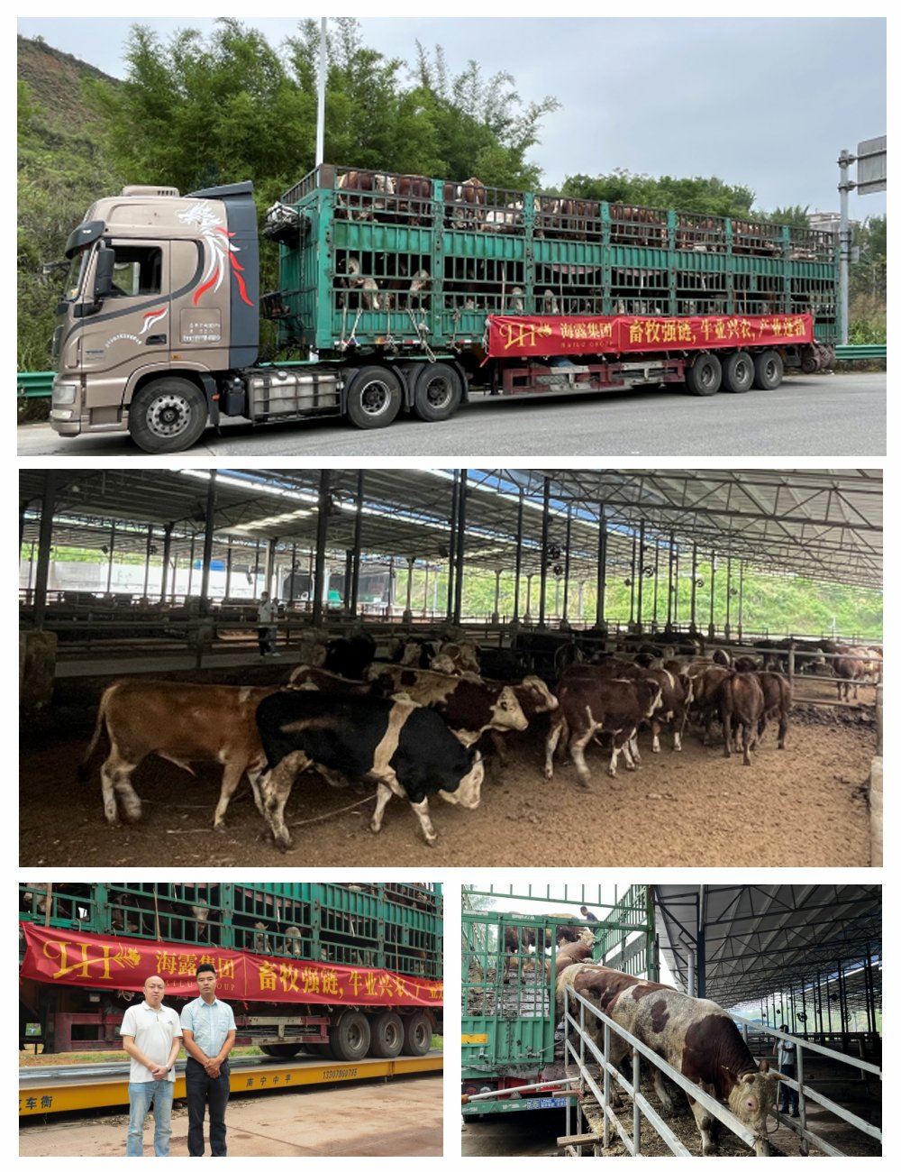 J9集团直营·(中国)官方网站