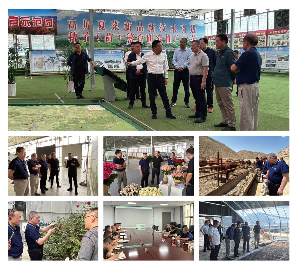 J9集团直营·(中国)官方网站