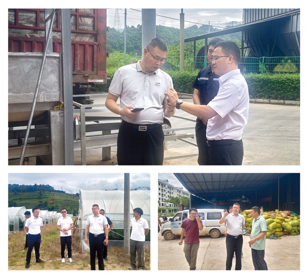 J9集团直营·(中国)官方网站